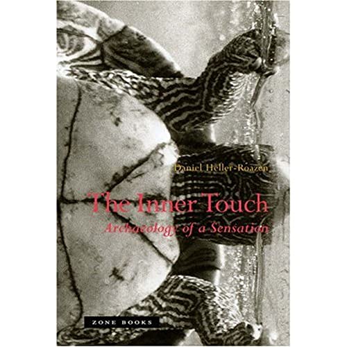 The Inner Touch: Archaeology of a Sensation (Mit Press)